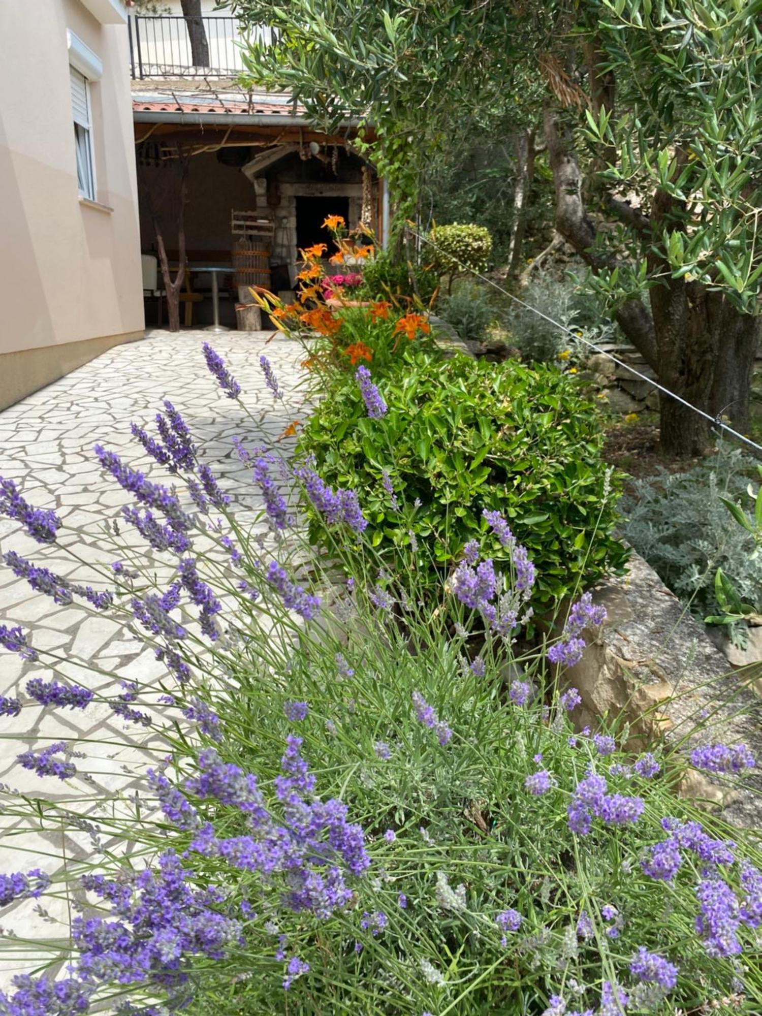 Banjol Apartments Vesna מראה חיצוני תמונה