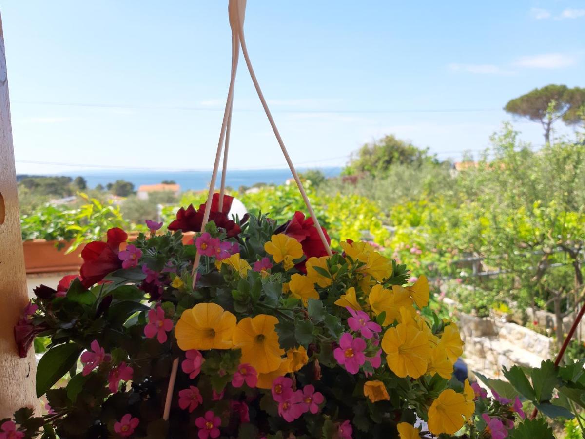 Banjol Apartments Vesna מראה חיצוני תמונה